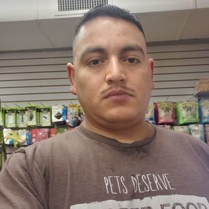 Meet your Posher, Douglas